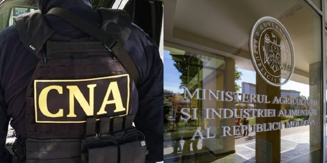 Un secretar de stat și reprezentantul unui agent economic, reținuți de CNA și procurorii anticorupție într-un dosar de corupție

Potrivit materialelor acumulate, reprezentantul agentului economic ar f…