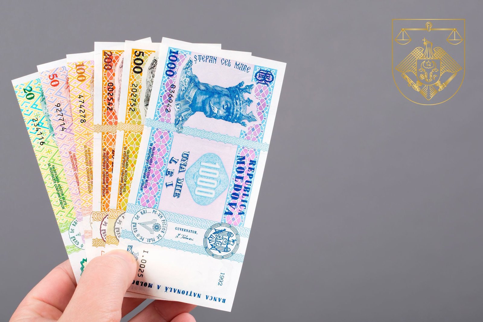 A găsit 10 000 de lei pe scările unui local și a însușit banii fără să caute proprietarul acestora: un tânăr condamnat pentru furt

Potrivit materialelor cauzei, la 3 februarie 2026, aproape de miezul…